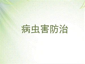 绿化养护培训病虫害防治.ppt.pptx