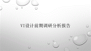 Vi设计前期调研分析报告.pptx