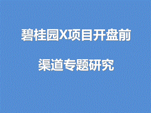 碧桂园渠道专题研究报告.pptx