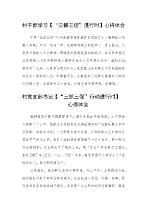 村干部学习【“三抓三促”进行时】心得体会范本 (4篇).docx