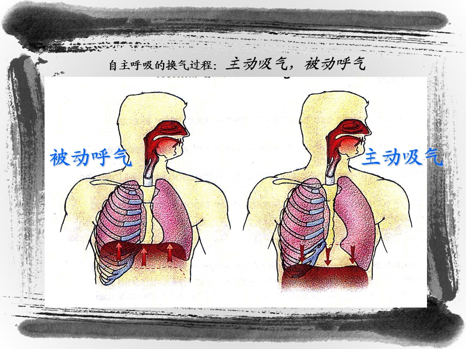 呼吸机使用技巧.ppt_第2页