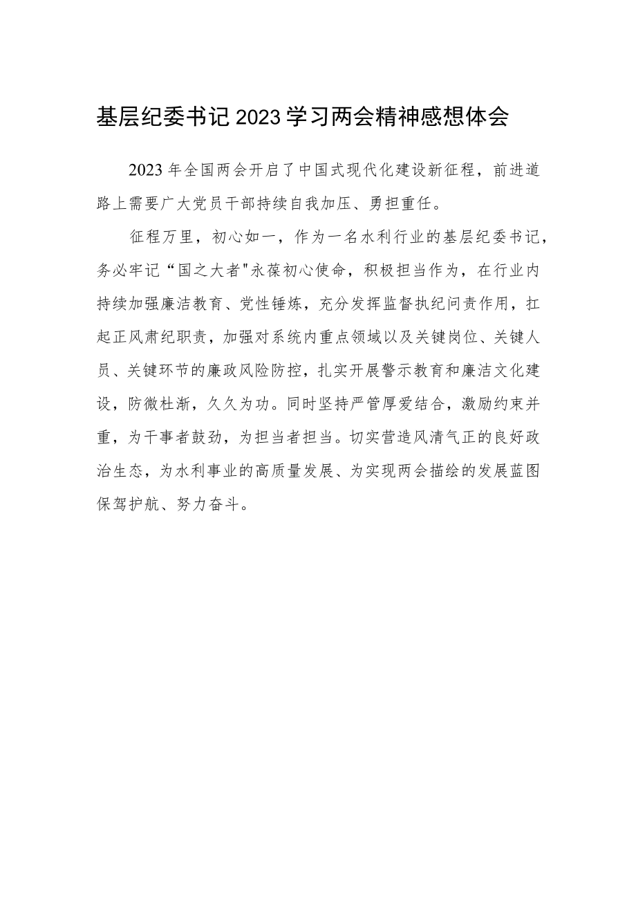 基层纪委书记2023学习两会精神感想体会.docx_第1页