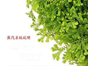 蒸汽系统说明分解.ppt