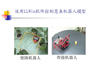 LLwin306软件使用说明.ppt