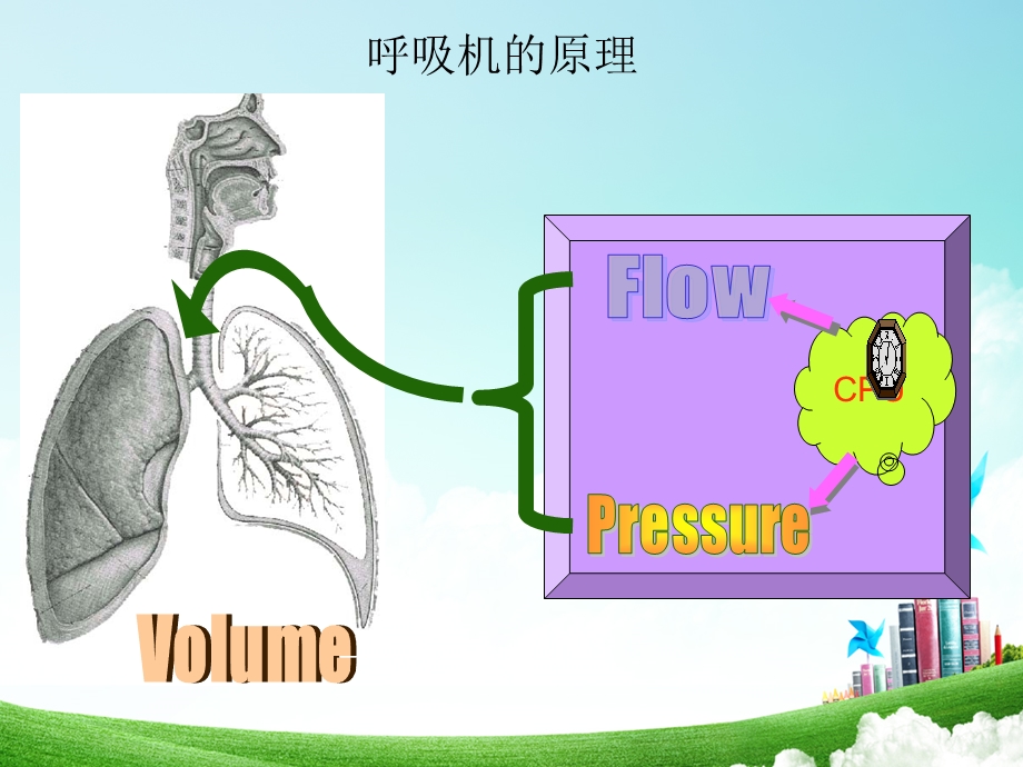 840呼吸机使用.ppt_第3页