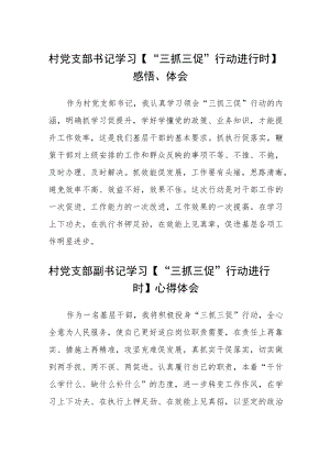 (四篇)村党支部书记学习【“三抓三促”行动进行时】心得体会感悟.docx