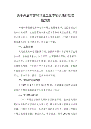 关于开展市容和环境卫生专项执法行动实施方案.docx