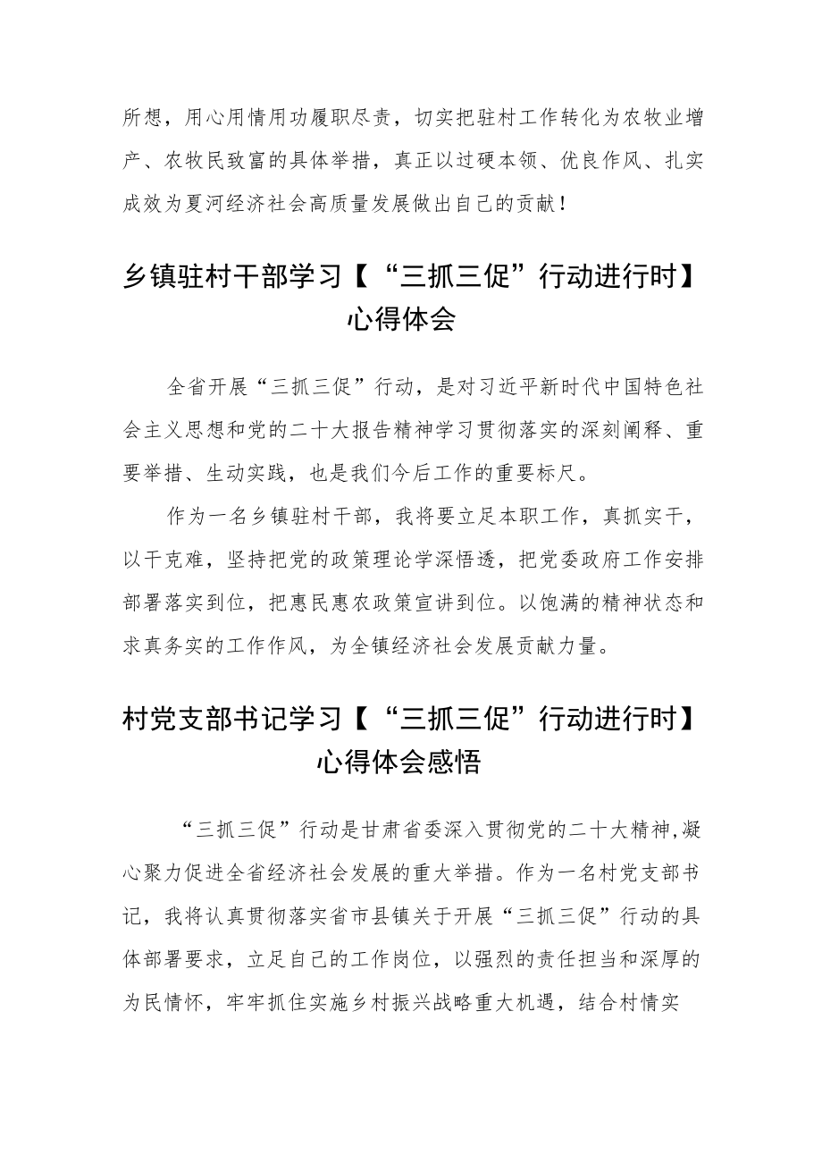 (4篇)村党总支部书记【“三抓三促”行动进行时】心得体会范本.docx_第2页