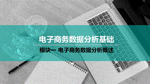 认识电子商务数据及数据分析.pptx