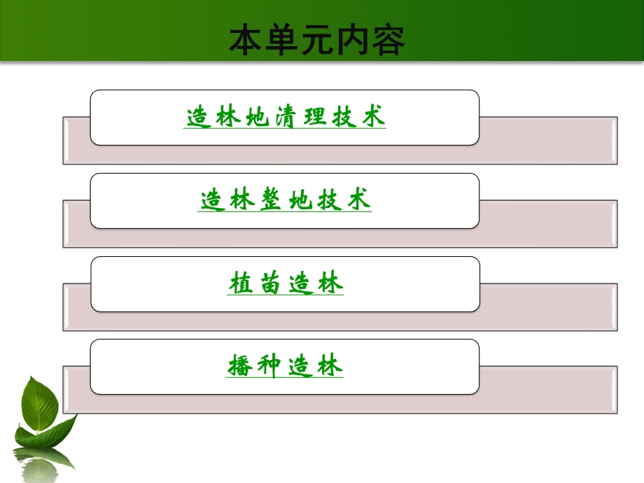 造林施工技术.pptx_第2页