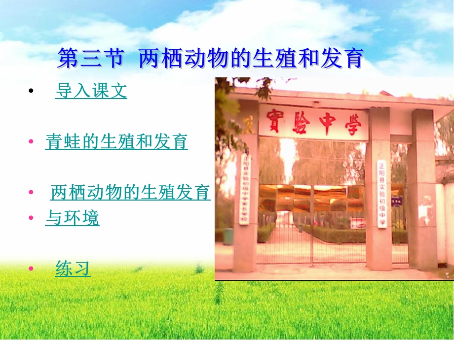 第三节两栖动物的生殖和发育精品教育.ppt_第1页