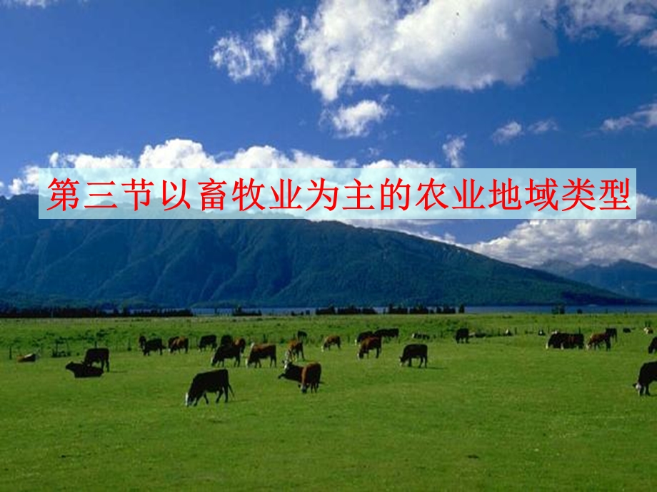 第三节cao以畜牧业为主的农业类型精品教育.ppt_第1页