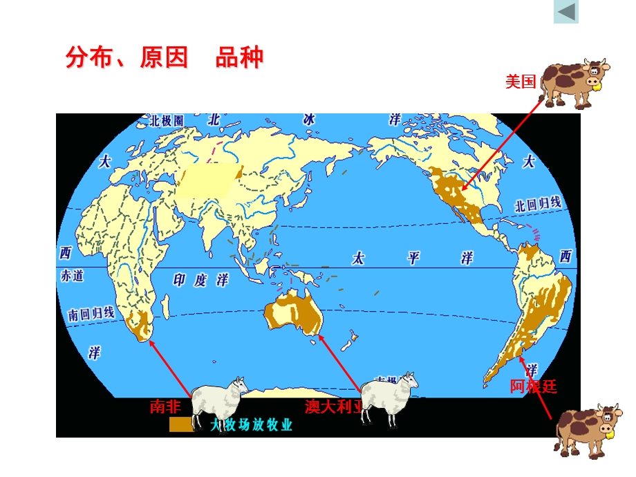 第三节cao以畜牧业为主的农业类型精品教育.ppt_第3页