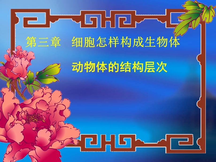 第一节动物体的结构层次精品教育.ppt_第2页