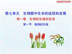 第一节植物的生殖精品教育.ppt