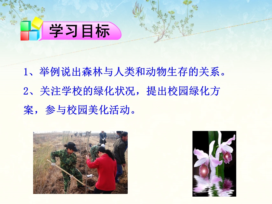 第三节绿化我们共同的行动精品教育.ppt_第2页