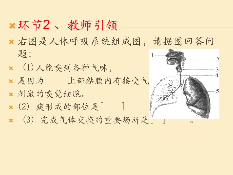 第一节流动的组织血液精品教育.ppt_第3页