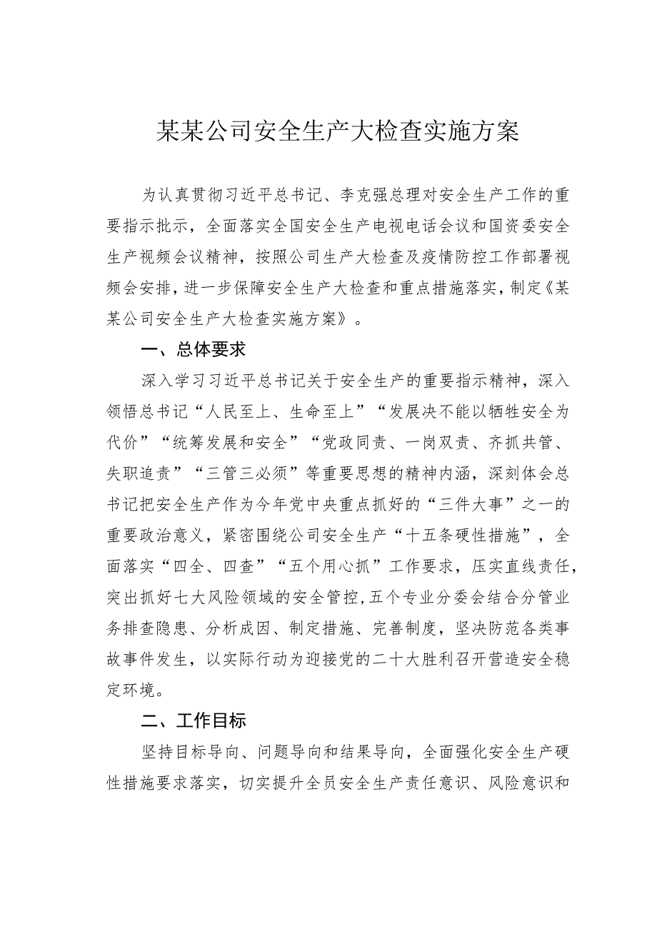 某某公司安全生产大检查实施方案.docx_第1页