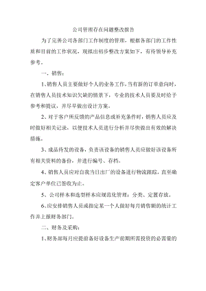 公司管理存在问题整改报告.docx