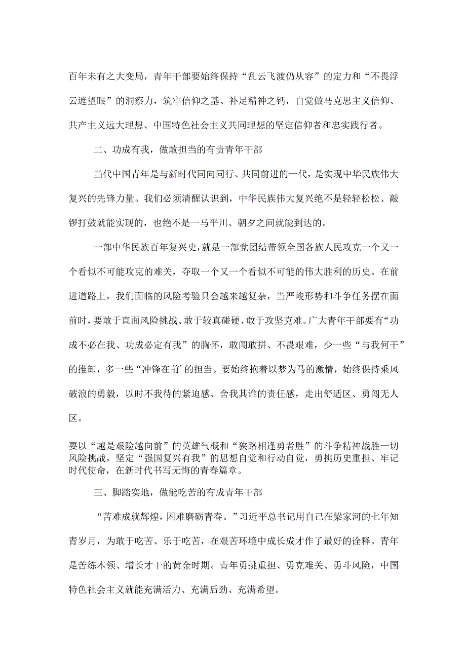 在青年干部动员工作会上的讲话：让青春在火热实践中绽放绚丽之花.docx_第2页