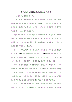 合作社社长发展村集体经济表态发言.docx