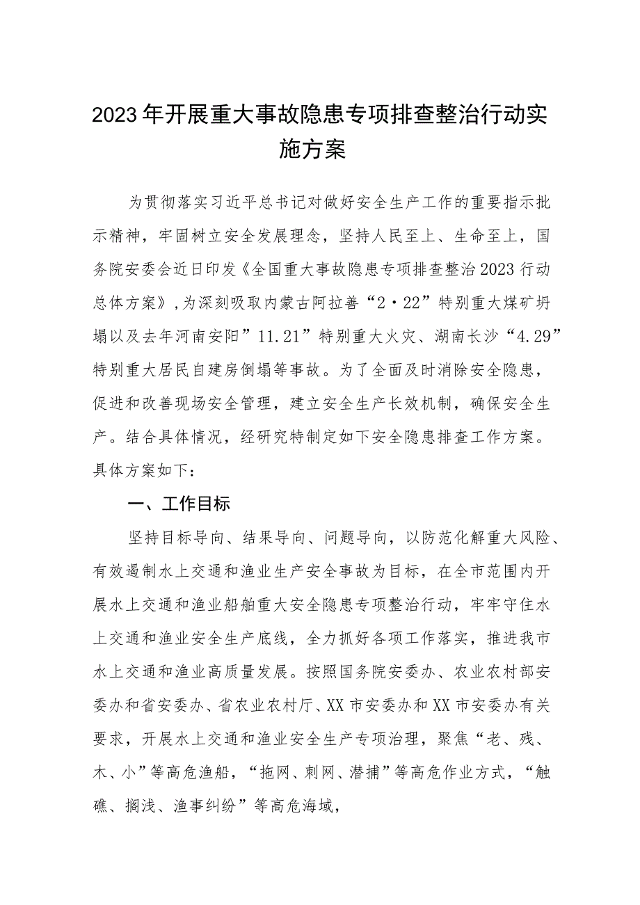 2023年开展重大事故隐患专项排查整治行动实施方案精选（共五篇）.docx_第1页