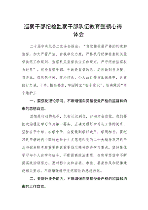 2023巡察干部纪检监察干部队伍教育整顿心得体会【3篇精选】供参考.docx