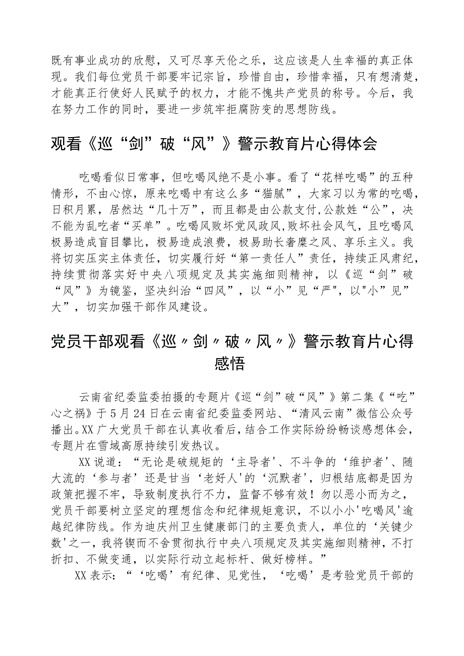 基层员工收听收看《巡“剑”破“风”》警示教育片心得体会(精选八篇).docx_第2页