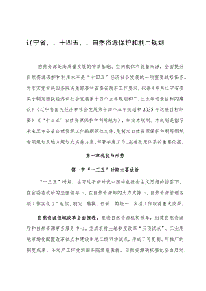 辽宁省“十四五”自然资源保护和利用规划.docx