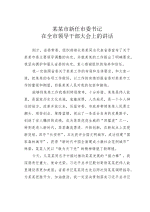 某某市新任市委书记在全市领导干部大会上的讲话.docx