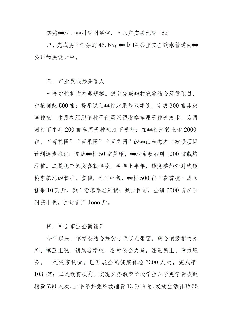 乡镇2023年上半年工作总结和下半年工作要点计划思想打算.docx_第3页