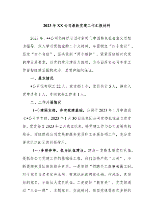 2023年XX公司最新党建工作汇报材料.docx