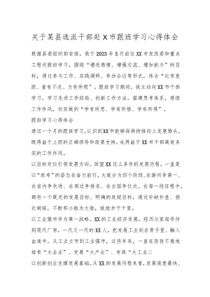 关于某县选派干部赴XX市跟班学习心得体会.docx