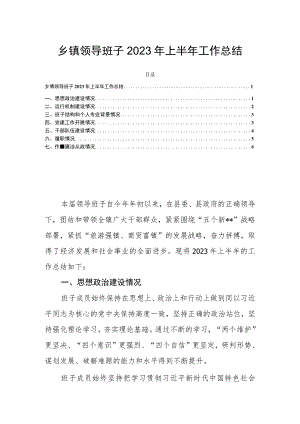 乡镇领导班子2023年上半年工作总结.docx