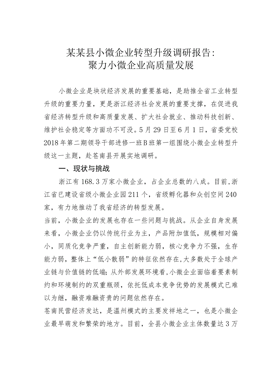 某某县小微企业转型升级调研报告：聚力小微企业高质量发展.docx_第1页