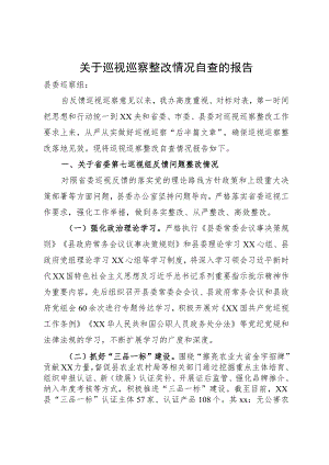 巡视巡察整改情况报告.docx