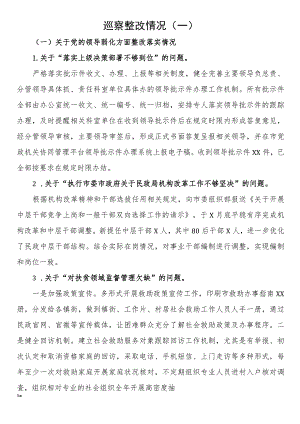 巡察整改情况（一）.docx