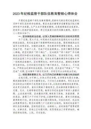 2023年纪检监察干部队伍教育整顿个人心得体会范本合集三篇.docx