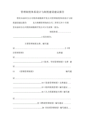 管理制度体系设计与制度建设建议报告_0.docx