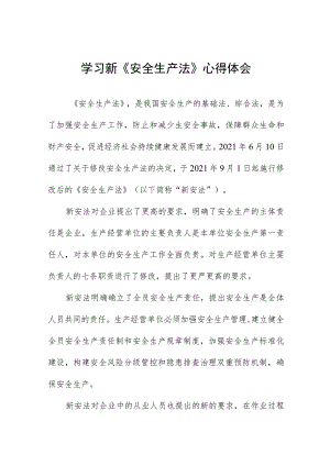 电力人员学习新《安全生产法》心得感悟十篇例文.docx