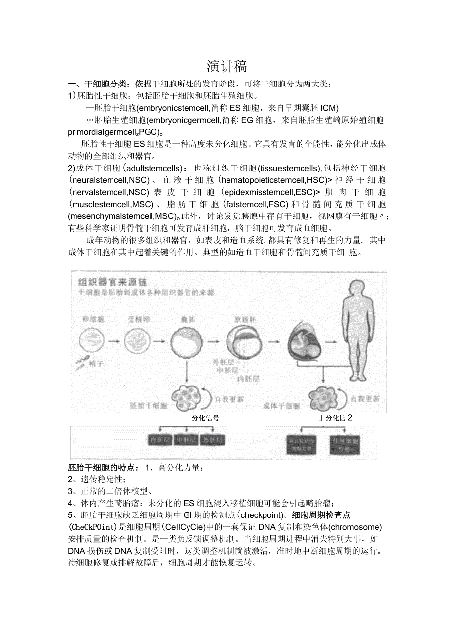 干细胞演讲稿.docx_第1页