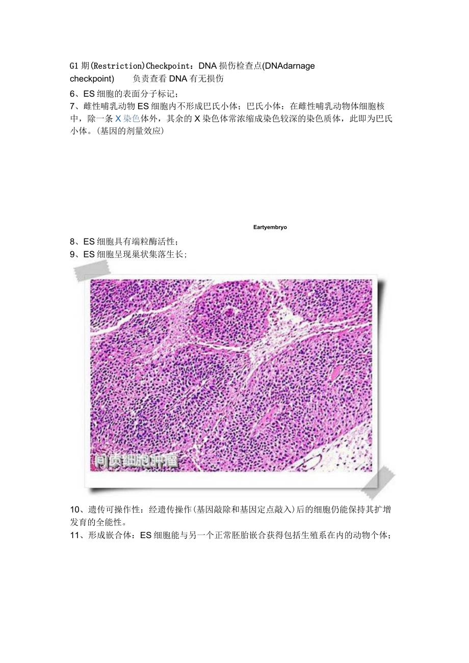 干细胞演讲稿.docx_第2页