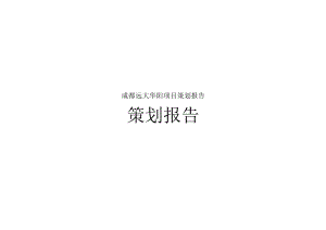 成都远大华阳项目策划报告.docx