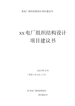 某电厂组织结构设计项目建议书.docx