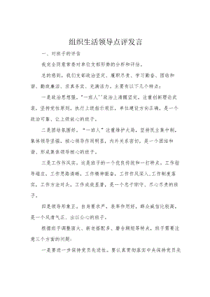 组织生活领导点评发言.docx