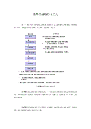 新华信战略咨询工具.docx