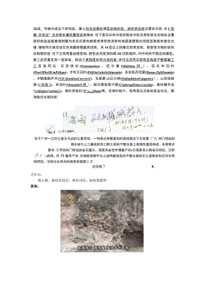 广州及其临近地区地质资料.docx