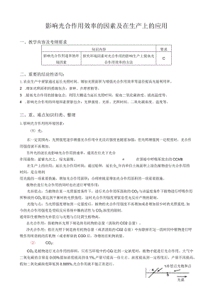 影响光合作用效率的因素及在生产上的应用.docx