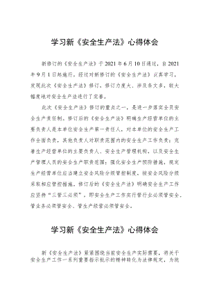 电力人员学习新《安全生产法》心得感悟十篇.docx