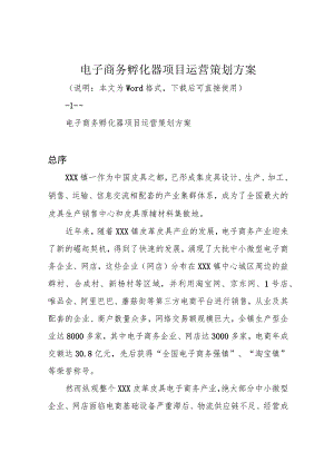 电子商务孵化器项目运营策划方案.docx